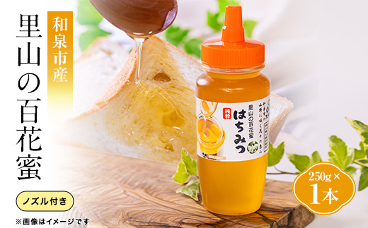 道の駅で大人気のハチミツ(250gノズル付きボトル　1本)【1657705】