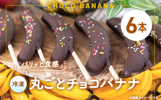 和泉市丸ごとチョコバナナ×6本(冷凍)【配送不可地域：離島】【1661068】