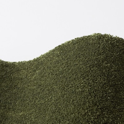 高密度&素足に心地よいソフトタッチ カーペット (サキソニー) グリーン【200×250cm】【1395787】