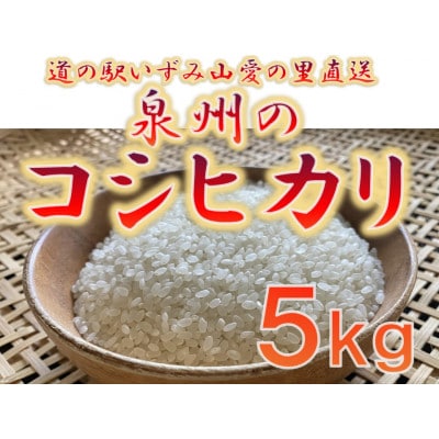 大阪府和泉市の農家さんが心を込めて作ったコシヒカリ　一袋5kg。道の駅で精米してお届けします。【1498573】