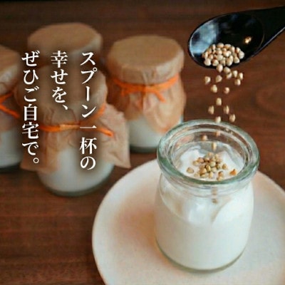 【冷凍便】こだわり素材のそば茶みるくプリン　8個入　玄そば　蕎麦の実付　手打ちそばかけはし【配送不可地域：離島】【1693862】