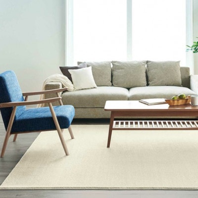 カーペットラグ 【200×250cm】 なめらかタッチ (カーム) アイボリー【1731855】