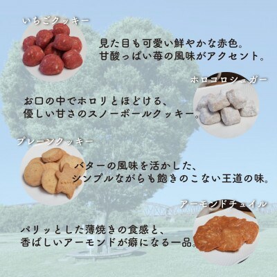 お菓子詰め合わせEセット　クッキー6種類・パウンドケーキ8個セット　はつが野テラス【1696660】