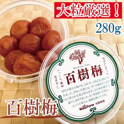 【希少な大玉】和泉市産百樹梅280g×2パック 大粒厳選 豊かな香りと肉厚な果肉[なやファーム]【1741261】