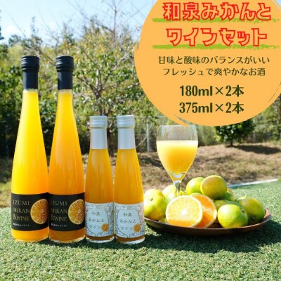 和泉みかんとワイン(180ml 2本と375ml 2本)のセット【1498949】