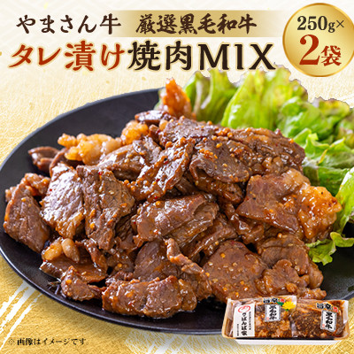 黒毛和牛やまさん牛　タレ漬け焼肉MIX250g×2【配送不可地域：離島】【1688685】