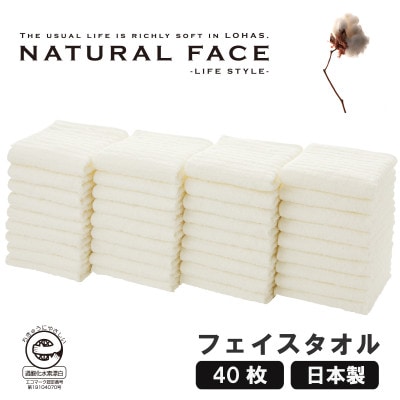 エコロジーフェイスタオル40枚セット【1647033】