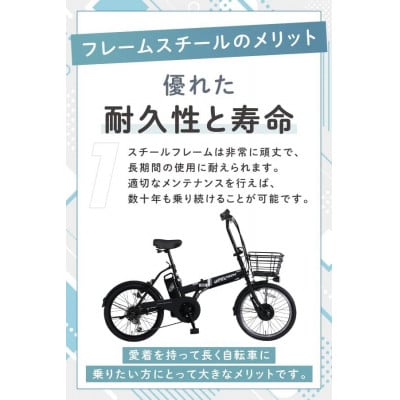 PELTECH 20インチ 折り畳み電動アシスト自転車 外装6段変速 【簡易組立必要品】 ホワイト【配送不可地域：沖縄県】【1663598】