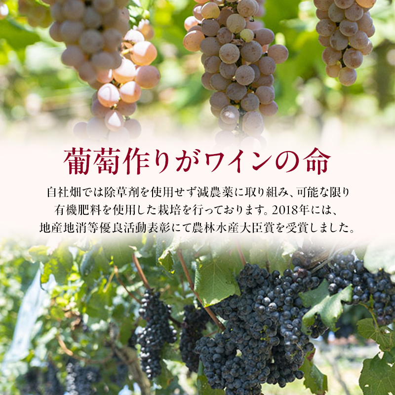 ワイン 雪丸スパークリング 国産ぶどうジュース セット スパークリング 酒 お酒 国産 アルコール 