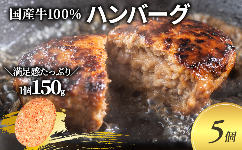 ハンバーグ 150g 5個 セット 国産 牛壱 国産牛100％ 冷凍 惣菜 おかず 真空パック 煮込みハンバーグ お肉 肉 牛肉 牛 淡路島 たまねぎ 手作り ギフト 贈り物 プレゼント 大阪 柏原市