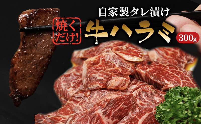 ハラミ たれ漬け 300g 牛肉 牛 肉 お肉 味付け肉 タレ 焼くだけ 真空パック 漬け 焼き肉 焼肉 バーベキュー アウトドア キャンプ 弁当 おかず 冷凍 牛ハラミ 大阪 柏原市