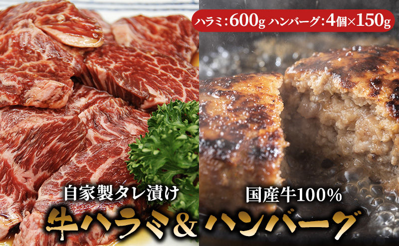 ハラミ たれ漬け 600g ハンバーグ 150g 4個 セット 詰め合わせ 味付け肉 タレ 真空パック 焼肉 バーベキュー アウトドア 弁当 おかず 牛ハラミ 冷凍 惣菜 煮込みハンバーグ お肉 肉 牛肉 牛 手作り ギフト 贈り物 大阪 柏原市