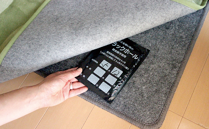 ダニ捕り パック ブラックホール 10個パック セット ダニ 押入れ カーペット 布団 ふとん 日用品 雑貨 