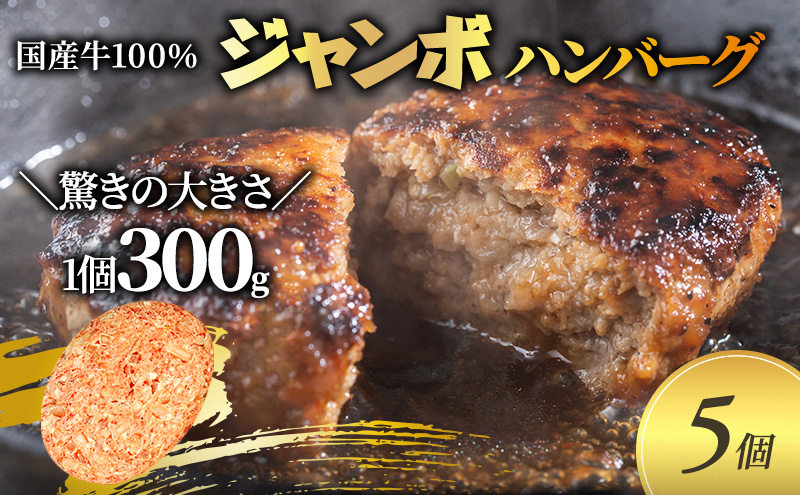 ジャンボ ハンバーグ 300g 5個 セット 国産 牛壱 国産牛100％ 冷凍 惣菜 おかず 真空パック 煮込みハンバーグ お肉 肉 牛肉 牛 淡路島 たまねぎ 手作り ギフト 贈り物 プレゼント 大阪 柏原市