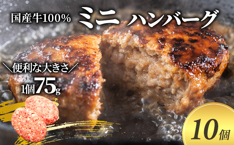 ミニ ハンバーグ 75g 10個 セット 国産 牛壱 国産牛100％ 冷凍 惣菜 おかず 真空パック 煮込みハンバーグ お肉 肉 牛肉 牛 淡路島 たまねぎ 手作り ギフト 贈り物 プレゼント 大阪 柏原市