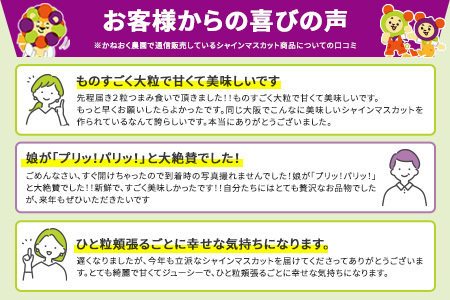 ＜2024年先行予約＞かねおく農園の完熟シャインマスカット 2kg