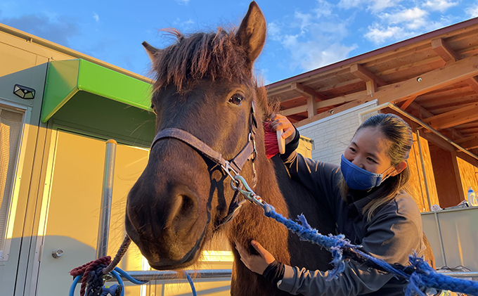 シンプル乗馬＆ふれあい体験