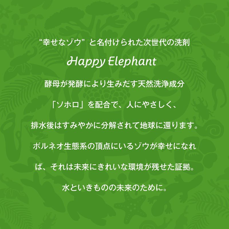 ハッピーエレファント野菜・食器用洗剤 オレンジ＆ライム 500mL 詰替え5個セット