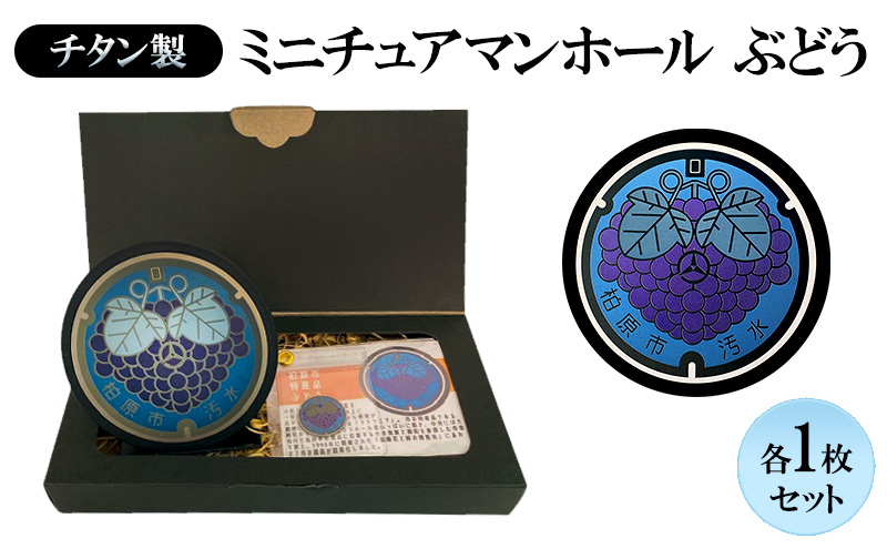 チタン製ミニチュアマンホールぶどう【マンホール・メダルセット】