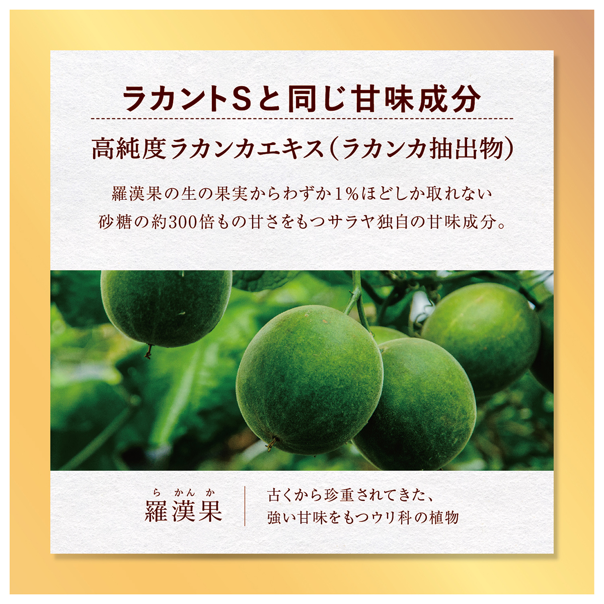 ラカント アルロースブレンド 3個セット サラヤ 甘味料 羅漢果 カロリーゼロ 健康