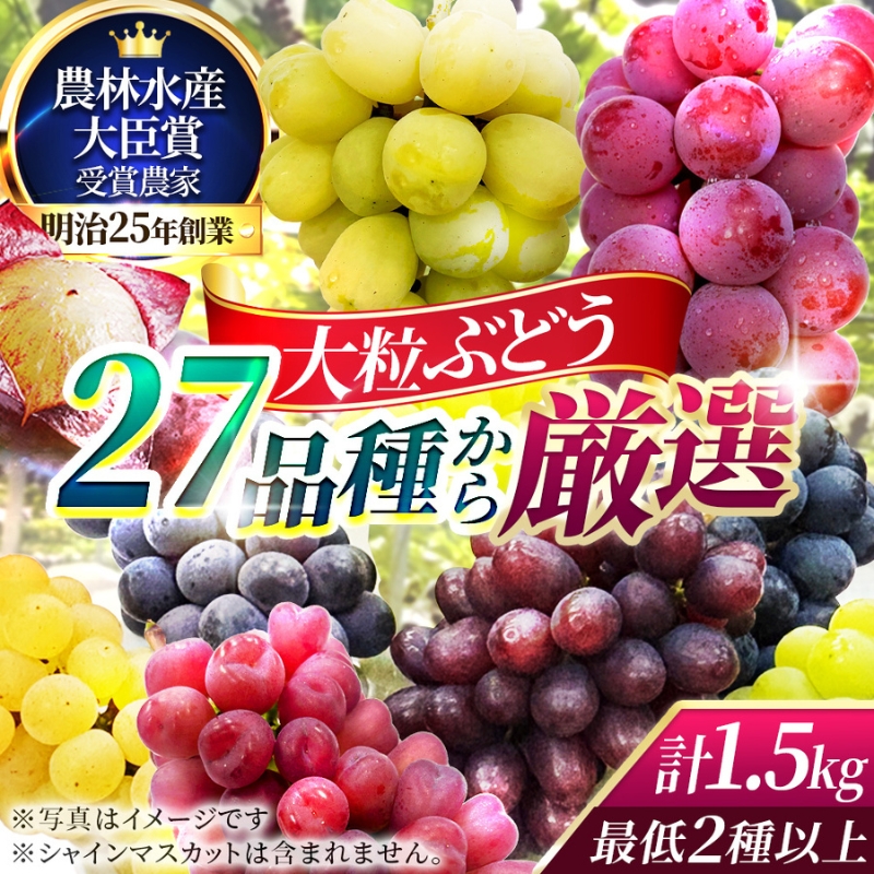 【2026年先行予約】27種の大粒品種から届く「秋の大粒ぶどう宝石箱」（シャインマスカット含まず）約1.5kg（9月中旬～下旬発送分）|ぶどう 詰合せ 希少 セット 大粒  残暑見舞い 敬老の日 葡萄 ブドウ 果物 フルーツ くだもの 大阪 贈答 プレゼント