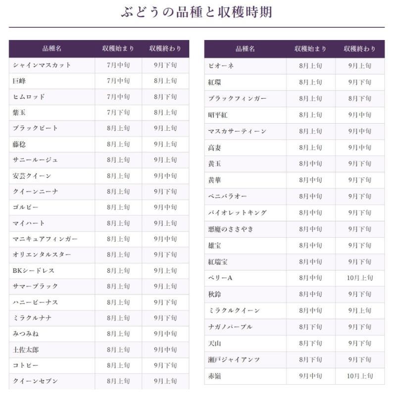 37品種からプロが厳選した「旬の宝石箱」大粒ぶどう詰合せ（シャインマスカット1房含む）約2kg（2026年先行予約 8月上旬～8月中旬発送分）