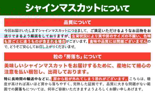 【2026年出荷】訳あり シャインマスカット 約1kg 《2026年8月上旬-8月下旬頃出荷》訳あり シャインマスカット マスカット ぶどう フルーツ 果物 大阪府 羽曳野市 シャイン 食べやすい