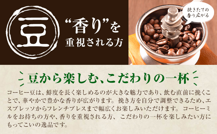 コーヒー豆 3ヶ国 飲み比べ 豆 計600g YAMACOFFEE《30日以内に出荷予定(土日祝除く)》大阪府 羽曳野市 コーヒー 豆 自家焙煎 おうちカフェ 珈琲豆