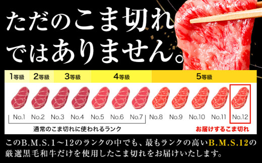 æ¥µäž å³éž 黿¯åç ããŸåã çŽ500g çéçãããŒãã30æ¥ä»¥å
ã«åºè·äºå®(忥ç¥é€ã)ã倧éªåº 矜æ³éåž éæç¡æ çè ç åç å°åã