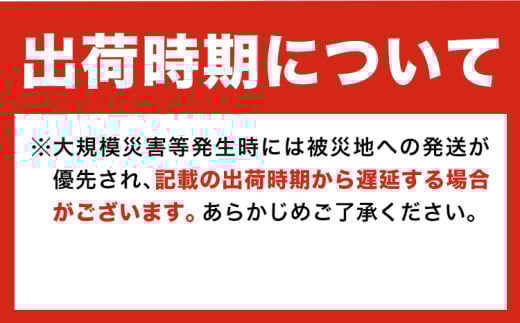 非常用トイレ 防災 簡易トイレ シートイレ 100回分 ＋予備20回分 石崎資材株式会社《60日以内に出荷予定(土日祝除く)》 大阪府 羽曳野市 非常用 トイレ 防災グッズ 災害用 災害 地震 断水 使用期限なし