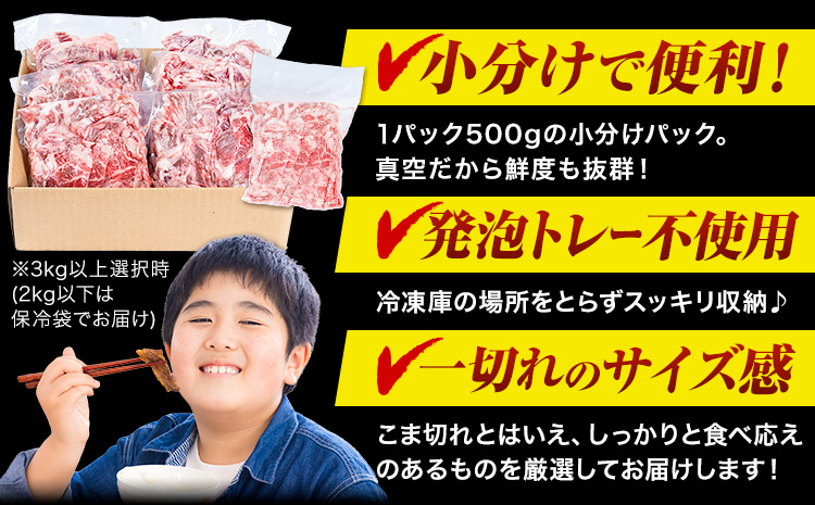 æ¥µäž å³éž 黿¯åç ããŸåã çŽ500g çéçãããŒãã30æ¥ä»¥å
ã«åºè·äºå®(忥ç¥é€ã)ã倧éªåº 矜æ³éåž éæç¡æ çè ç åç å°åã