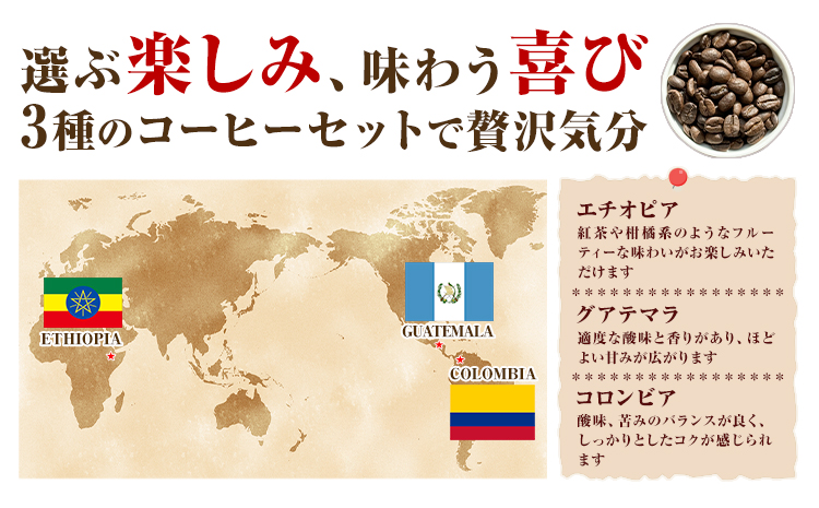コーヒー豆 3ヶ国 飲み比べ 豆 計600g YAMACOFFEE《30日以内に出荷予定(土日祝除く)》大阪府 羽曳野市 コーヒー 豆 自家焙煎 おうちカフェ 珈琲豆