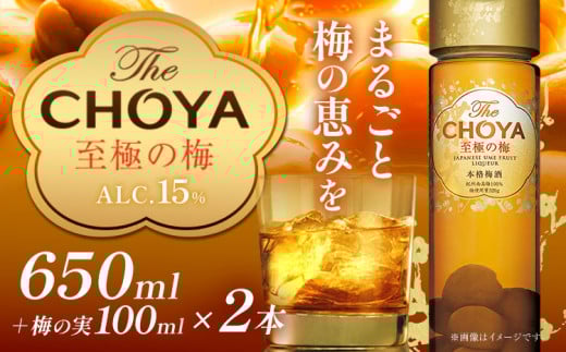 The CHOYA 至極の梅 650ml × 2本 羽曳野商工振興株式会社[30日以内に出荷予定(土日祝除く)]大阪府 羽曳野市 送料無料 梅酒 梅 酒 CHOYA チョーヤ チョーヤ梅酒 お酒 紀州 南高梅