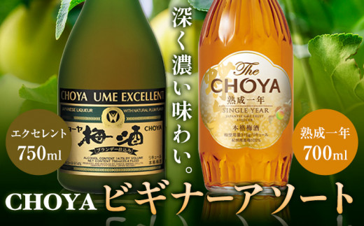CHOYA ビギナーアソート TheCHOYA　熟成一年 700ml エクセレント 750ml 計2本 セット 飲み比べ 羽曳野商工振興株式会社《30日以内に出荷予定(土日祝除く)》大阪府 羽曳野市 送料無料 梅酒 梅 酒 CHOYA チョーヤ チョーヤ梅酒 お酒 紀州 南高梅