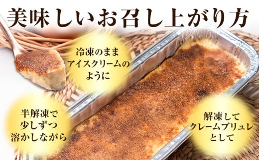 低糖質 贅沢 カタラーナ 2本 大きい BIGサイズ ヘルシースイーツ工房マルベリー《30日以内に出荷予定(土日祝除く)》大阪府 羽曳野市 スイーツ デザート アイスクリーム アイス