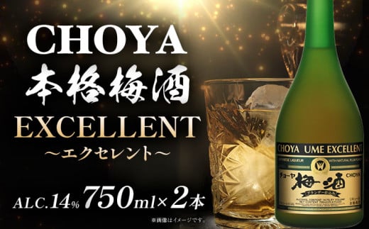 CHOYA 本格梅酒 EXCELLENT エクセレント 750ml × 2本 羽曳野商工振興株式会社《30日以内に出荷予定(土日祝除く)》大阪府 羽曳野市 送料無料 梅酒 梅 酒 CHOYA チョーヤ チョーヤ梅酒 お酒 紀州 南高梅