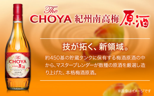 THE CHOYA 紀州南高梅 原酒 700ml 大地の梅 700ml 計2本 セット 飲み比べ 羽曳野商工振興株式会社《30日以内に出荷予定(土日祝除く)》大阪府 羽曳野市 送料無料 梅酒 梅 酒 CHOYA チョーヤ チョーヤ梅酒 お酒 紀州 南高梅 大地の梅
