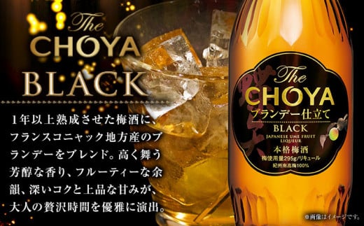 The CHOYA BLACK 700ml The CHOYA CRAFT FRUIT 700ml 計2本 セット 飲み比べ 羽曳野商工振興株式会社《30日以内に出荷予定(土日祝除く)》大阪府 羽曳野市 送料無料 梅酒 梅 酒 CHOYA チョーヤ チョーヤ梅酒 お酒 紀州 南高梅 black