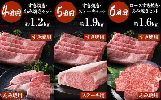 【6か月定期便】国産 黒毛和牛 食べ比べ 定期便 (大)《お申込み月の翌月から出荷開始》大阪府 羽曳野市 牛肉 肉 あみ焼 ロースステーキ ステーキ すき焼 あみ焼き ロースすき焼 セット【配送不可地域あり】