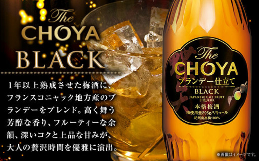 The CHOYA BLACK 700ml The CHOYA EXCELLENT エクセレント 750ml 計2本 セット 飲み比べ 羽曳野商工振興株式会社《30日以内に出荷予定(土日祝除く)》大阪府 羽曳野市 送料無料 梅酒 梅 酒 CHOYA チョーヤ チョーヤ梅酒 お酒 紀州 南高梅 black