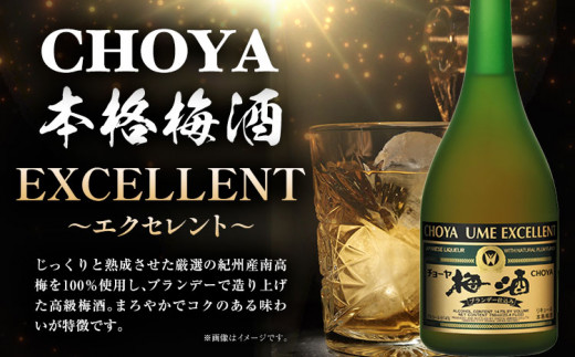 THE CHOYA 大地の梅 700ml EXCELLENT エクセレント 750ml 計2本 セット 飲み比べ 羽曳野商工振興株式会社《30日以内に出荷予定(土日祝除く)》大阪府 羽曳野市 送料無料 梅酒 梅 酒 CHOYA チョーヤ チョーヤ梅酒 お酒 紀州 南高梅