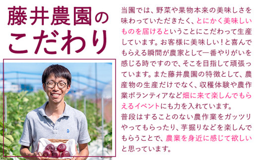 いちじくのクラフトビール 3本セット 330ml × 3本 藤井農園《30日以内に出荷予定(土日祝除く)》大阪府 羽曳野市 いちじく ビール 酒 イチジク 飲み物 ドリンク