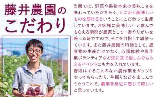 いちじく バター あまかける いちじくバター 3本セット (1本約150g) 藤井農園《30日以内に出荷予定(土日祝除く)》大阪府 羽曳野市 送料無料 イチジク イチジクバター 無花果 フルーツ 果物 加工品 調味料 お取り寄せ