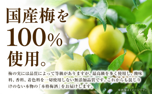CHOYA うめほのり セット 1000ml × 6本 箱入り 羽曳野商工振興株式会社《30日以内に出荷予定(土日祝除く)》大阪府 羽曳野市 梅酒 アルコール 梅 酒 CHOYA チョーヤ チョーヤ梅酒 お酒