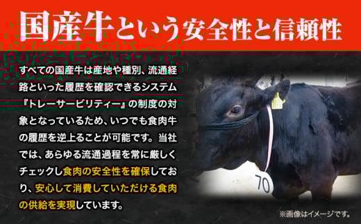 萬野総本店 国産 黒毛 和牛 ステーキ 食べ比べセット 計約780g《30日以内に出荷予定(土日祝除く)》大阪府 羽曳野市 牛肉 惣菜 おかず 霜降り 焼肉 ステーキ【配送不可地域あり】