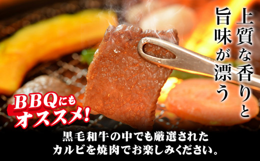 黒毛和牛 カルビ 焼肉 800g エムエスエイ (株)《30日以内に出荷予定(土日祝除く)》大阪府 羽曳野市 送料無料 牛肉 牛 和牛 焼き肉 肉 