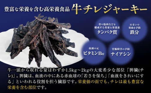 ペット 牛チレジャーキー ( 脾臓 ) 約100g 《60日以内に出荷予定(土日祝除く)》NEXT PLANNING 大阪府 羽曳野市 ペット用品 犬用 犬 ジャーキー おやつ 国産 無添加 獣医師監修 送料無料