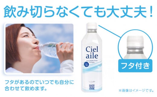 ナノバブル水素水 ペットボトル 約500ml 30本 株式会社ヒロシバ《30日以内に出荷予定(土日祝除く)》大阪府 羽曳野市 送料無料 水素水 肌 美容 健康 水