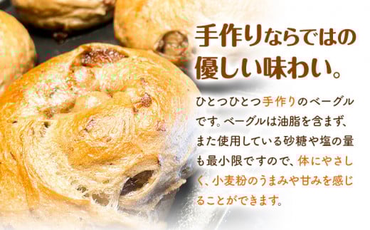 ベーグル 人気 ベーグル 詰め合わせ 10個 セット cot BAGEL STAND《90日以内に出荷予定(土日祝除く)》大阪府 羽曳野市 パン 手作り 店主厳選 こだわり はるゆたか 惣菜パン コットベーグルスタンド