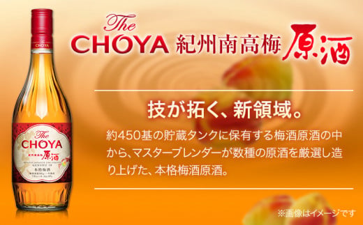 THE CHOYA 紀州南高梅 原酒 700ml EXCELLENT エクセレント 750ml 計2本 セット 飲み比べ 羽曳野商工振興株式会社《30日以内に出荷予定(土日祝除く)》大阪府 羽曳野市 送料無料 梅酒 梅 酒 CHOYA チョーヤ チョーヤ梅酒 お酒 紀州 南高梅